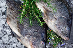 medical-nebulizer-treatment-bronchitis-camera-agains-medical-nebulizer-treatment-bronchitis-109160852